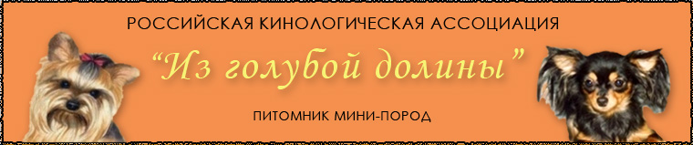 Добро пожаловать на сайт карликовых пород